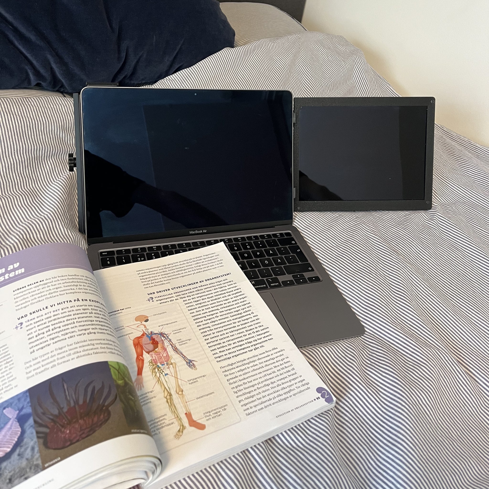 Expansionsskärm för laptop